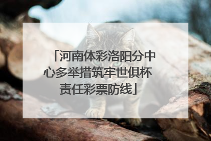 河南体彩洛阳分中心多举措筑牢世俱杯责任彩票防线