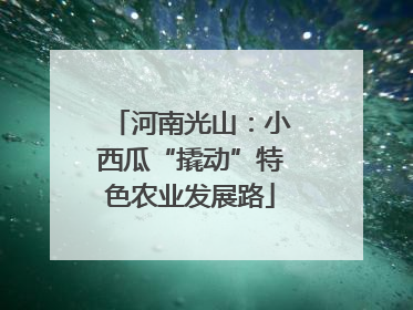 河南光山：小西瓜“撬动”特色农业发展路
