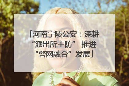 河南宁陵公安：深耕“派出所主防” 推进“警网融合”发展
