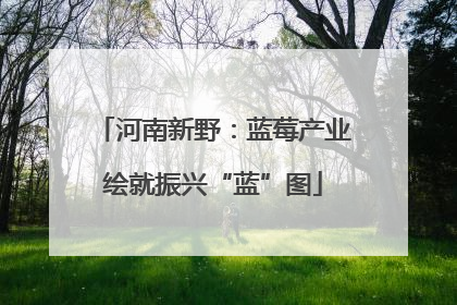 河南新野：蓝莓产业绘就振兴“蓝”图