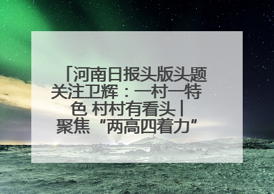河南日报头版头题关注卫辉：一村一特色 村村有看头 ︳聚焦“两高四着力”·一“县”观察
