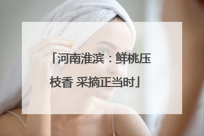 河南淮滨：鲜桃压枝香 采摘正当时