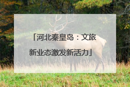 河北秦皇岛：文旅新业态激发新活力