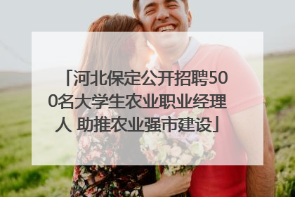 河北保定公开招聘500名大学生农业职业经理人 助推农业强市建设
