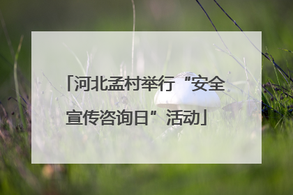 河北孟村举行“安全宣传咨询日”活动