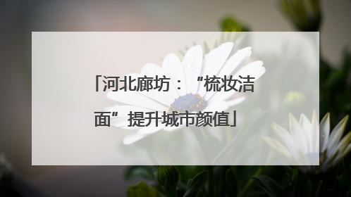 河北廊坊：“梳妆洁面”提升城市颜值