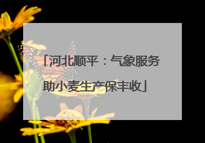 河北顺平：气象服务助小麦生产保丰收