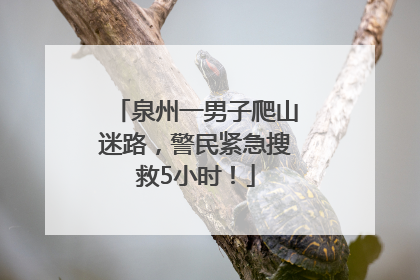 泉州一男子爬山迷路，警民紧急搜救5小时！