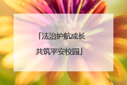 法治护航成长 共筑平安校园