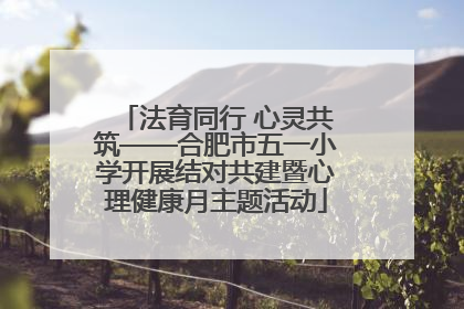 法育同行 心灵共筑——合肥市五一小学开展结对共建暨心理健康月主题活动