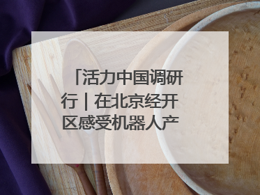 活力中国调研行｜在北京经开区感受机器人产业创新发展
