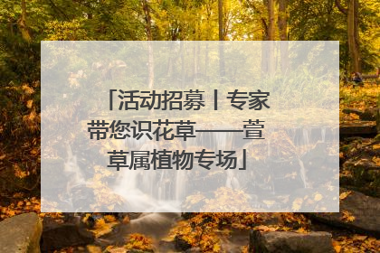 活动招募丨专家带您识花草——萱草属植物专场