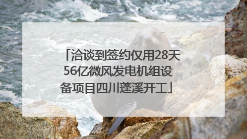 洽谈到签约仅用28天 56亿微风发电机组设备项目四川蓬溪开工