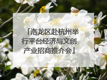 洛龙区赴杭州举行平台经济与文创产业招商推介会