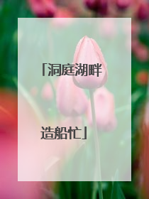 洞庭湖畔造船忙
