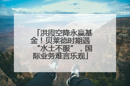 洪霞空降永赢基金！贝莱德时期遇“水土不服”，国际业务难言乐观