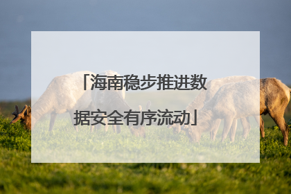 海南稳步推进数据安全有序流动