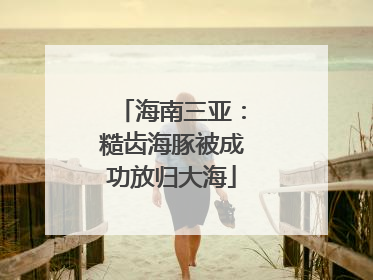 海南三亚：糙齿海豚被成功放归大海