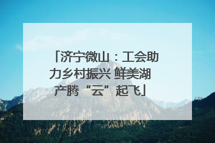 济宁微山：工会助力乡村振兴 鲜美湖产腾“云”起飞