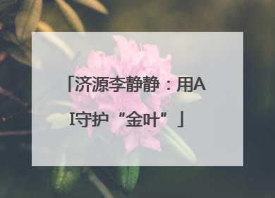 济源李静静：用AI守护“金叶”