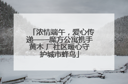 浓情端午，爱心传递——魔方公寓携手黄木 厂社区暖心守护城市蜂鸟