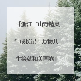 浙江“山野精灵”成长记：万物共生绘就和美画卷