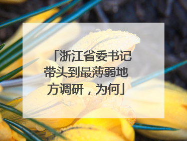 浙江省委书记带头到最薄弱地方调研，为何
