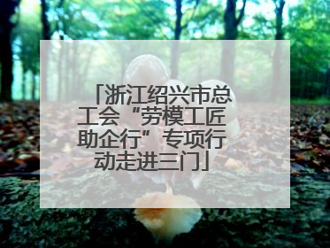 浙江绍兴市总工会“劳模工匠助企行”专项行动走进三门