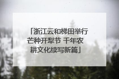 浙江云和梯田举行芒种开犁节 千年农耕文化续写新篇