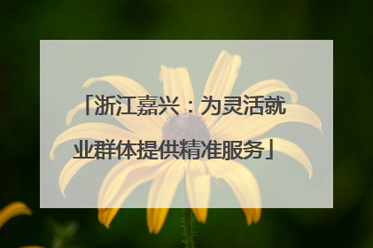 浙江嘉兴：为灵活就业群体提供精准服务