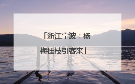 浙江宁波：杨梅挂枝引客来