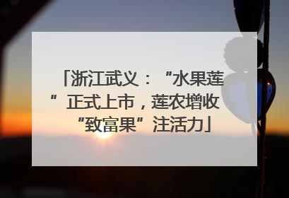浙江武义：“水果莲”正式上市，莲农增收“致富果”注活力