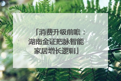 消费升级前瞻：湖南金证把脉智能家居增长逻辑