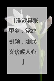 淮滨县张里乡：党建引领，惠民义诊暖人心