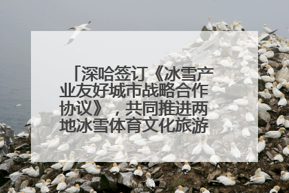 深哈签订《冰雪产业友好城市战略合作协议》，共同推进两地冰雪体育文化旅游高质量发展