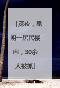 深夜，昆明一居民楼内，30余人被抓
