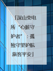 深山变电所“心脏守护者”：孤独守望护航旅客平安