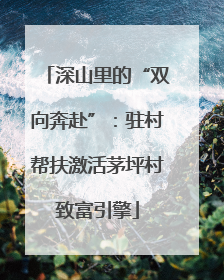 深山里的“双向奔赴”：驻村帮扶激活茅坪村致富引擎