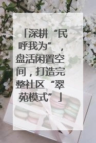 深耕“民呼我为”，盘活闲置空间，打造完整社区“翠苑模式”