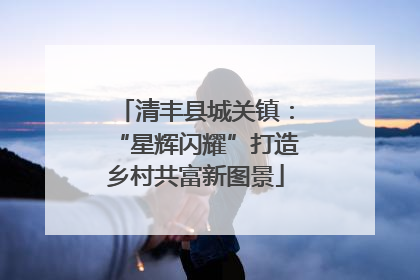 清丰县城关镇：“星辉闪耀”打造乡村共富新图景