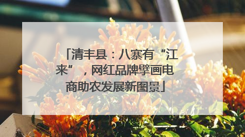 清丰县：八寨有“江来”，网红品牌擘画电商助农发展新图景
