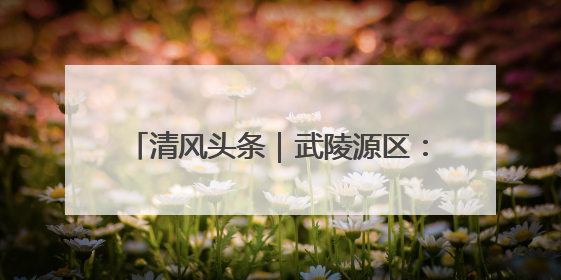 清风头条｜武陵源区：理论实务“双驱动 ” 充电赋能“增才干”