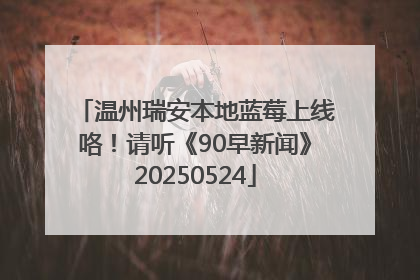 温州瑞安本地蓝莓上线咯！请听《90早新闻》20250524
