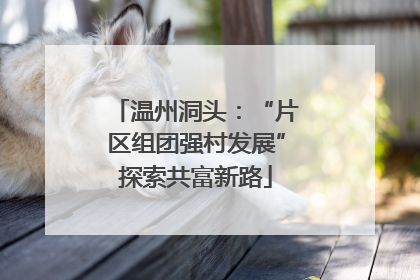 温州洞头：“片区组团强村发展”探索共富新路