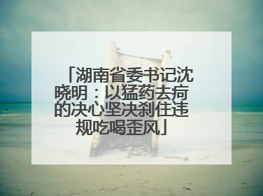 湖南省委书记沈晓明：以猛药去疴的决心坚决刹住违规吃喝歪风