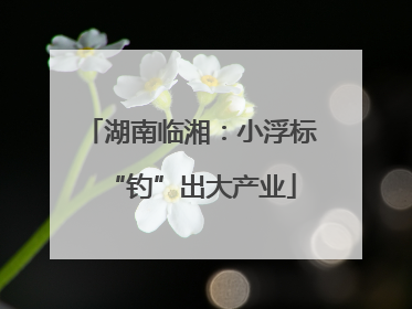 湖南临湘：小浮标“钓”出大产业
