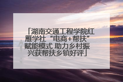 湖南交通工程学院红雁学社“电商+帮扶”赋能模式 助力乡村振兴获帮扶乡镇好评