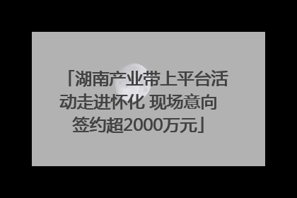 湖南产业带上平台活动走进怀化 现场意向签约超2000万元