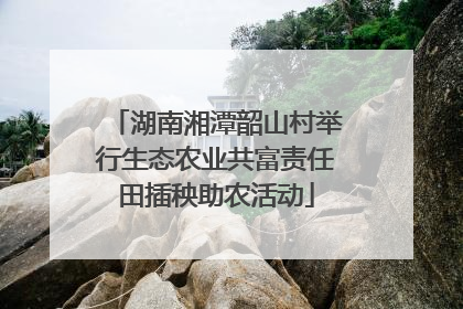 湖南湘潭韶山村举行生态农业共富责任田插秧助农活动