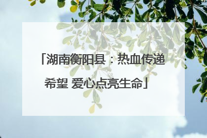 湖南衡阳县：热血传递希望 爱心点亮生命